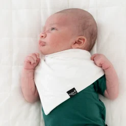 Bib in Cloud