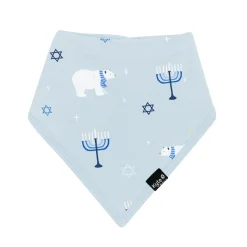 Bib in Polar Lights