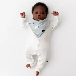 Bib in Polar Lights