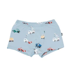 Briefs in Construction