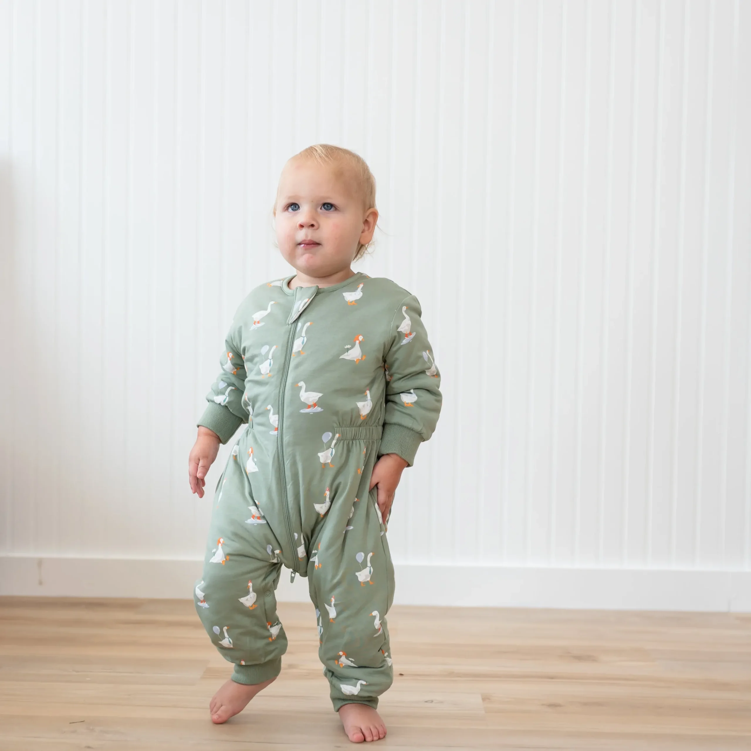 Cozy Playsuit in Silly Goose