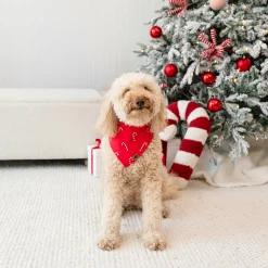 Dog Bandana in Candy Cane