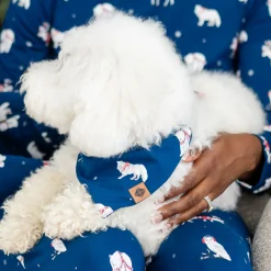 Dog Bandana in Frosty Friends