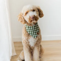 Dog Bandana in Gingham Fir