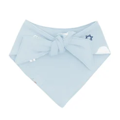 Dog Bandana in Polar Lights