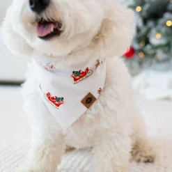 Dog Bandana in Santa Sleigh