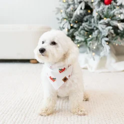 Dog Bandana in Santa Sleigh