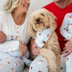 Dog Bandana in Vintage Santa