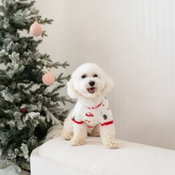 Dog Tee in Santa Sleigh
