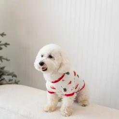 Dog Tee in Santa Sleigh