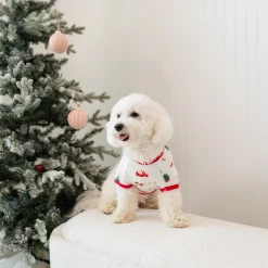 Dog Tee in Santa Sleigh