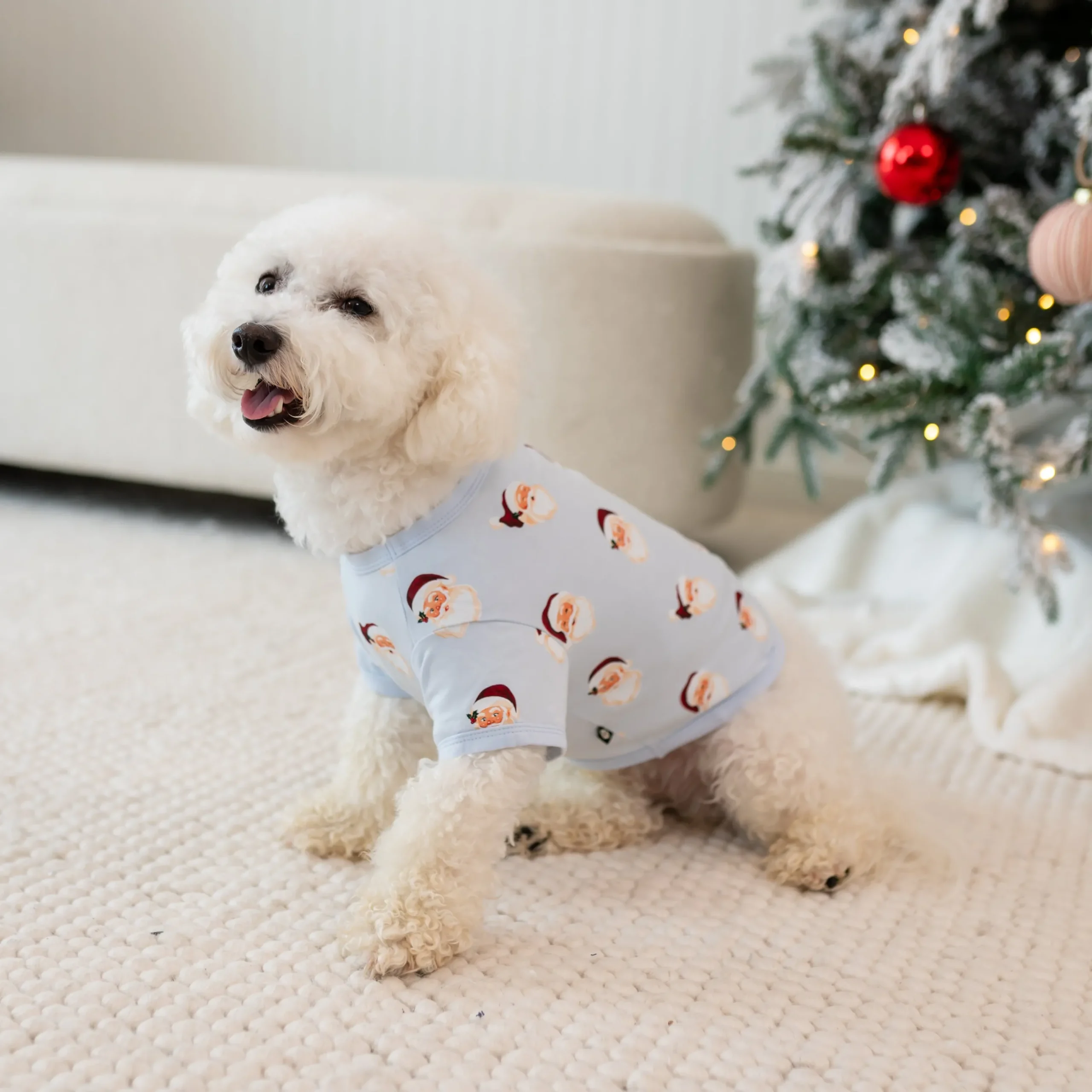 Dog Tee in Vintage Santa
