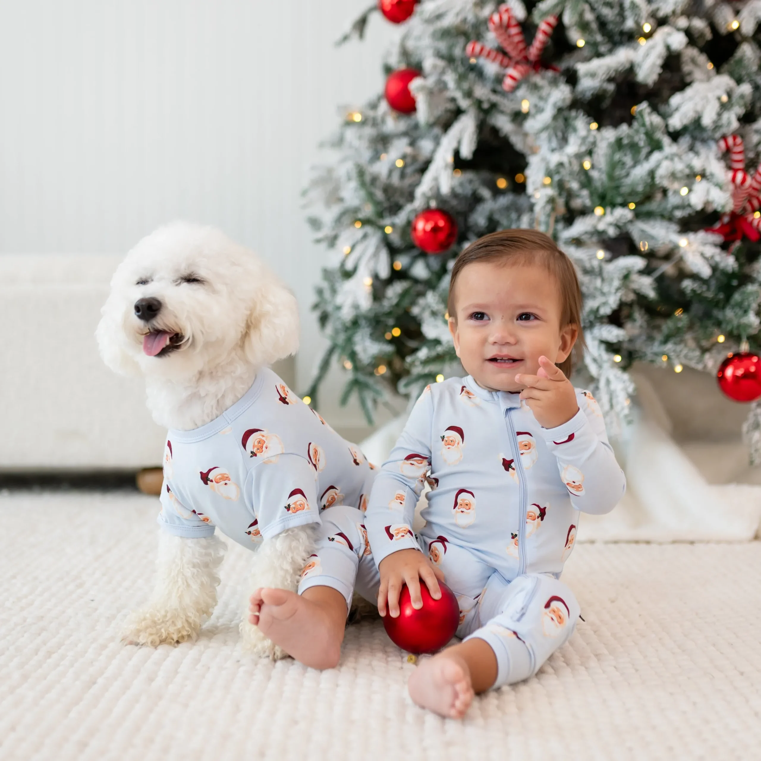 Dog Tee in Vintage Santa