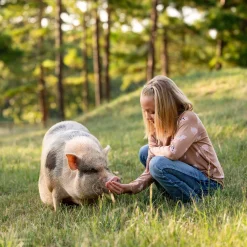 Long Sleeve Toddler Crew Neck Tee in Pig