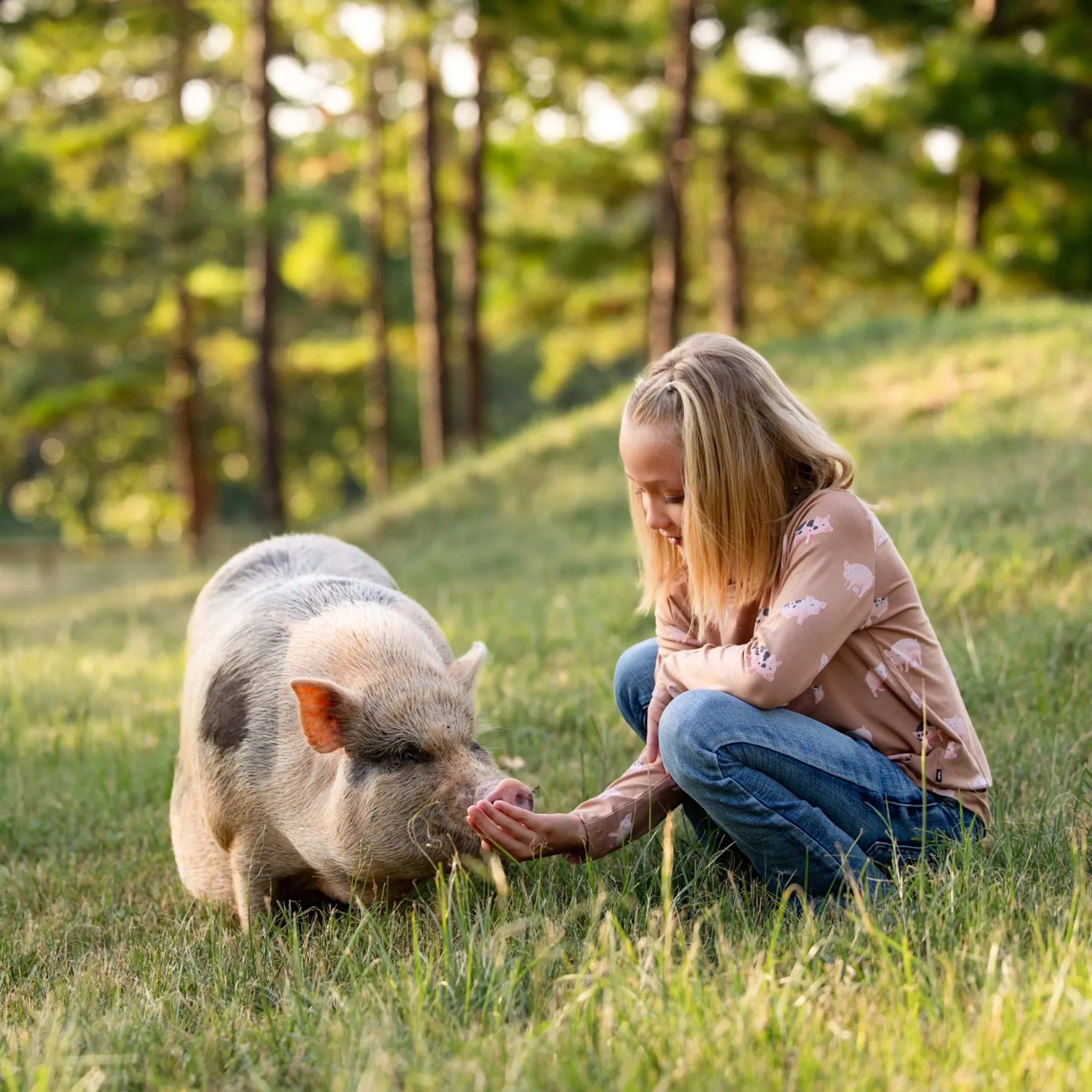Long Sleeve Toddler Crew Neck Tee in Pig