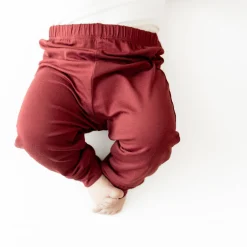 Pant in Burgundy