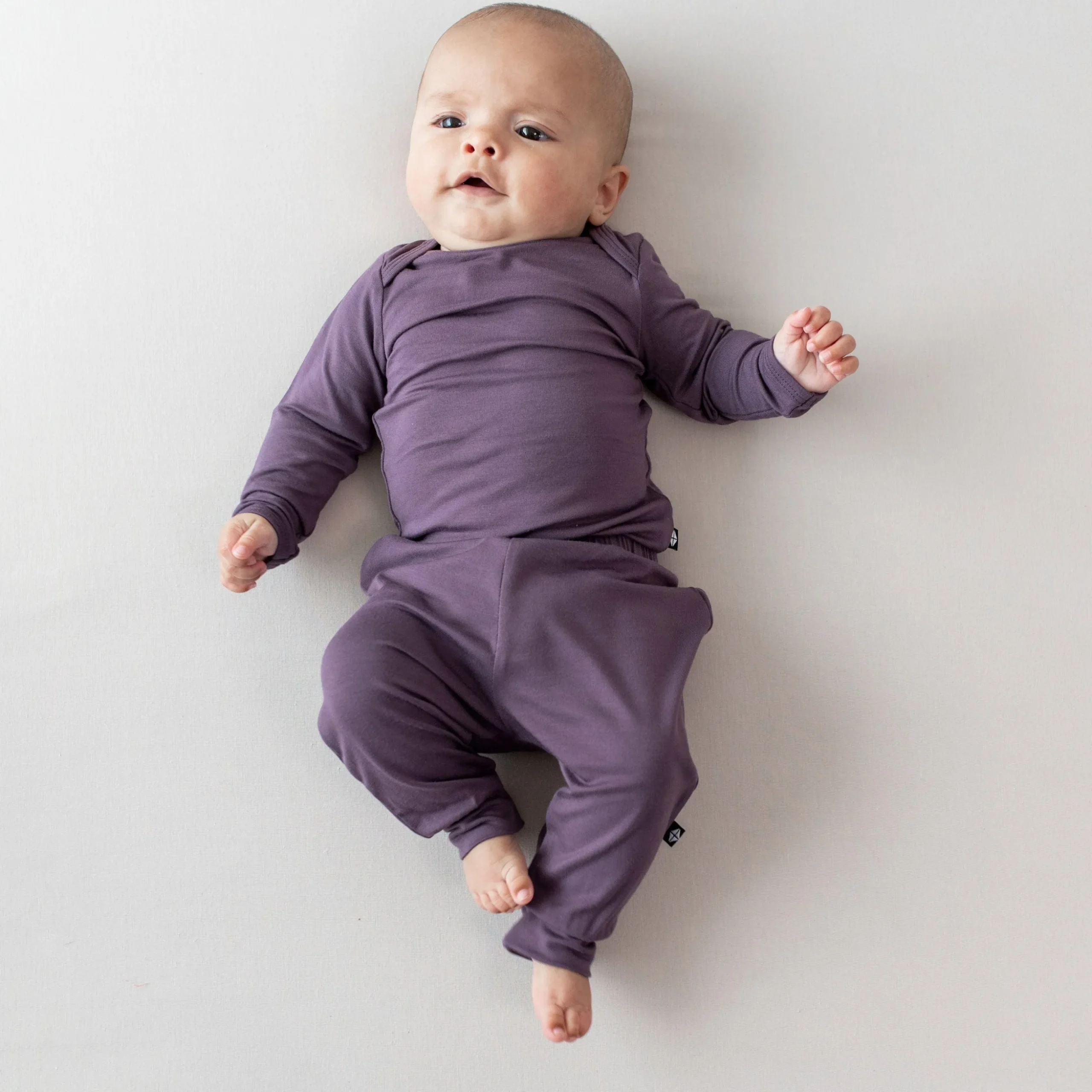 Pant in Currant