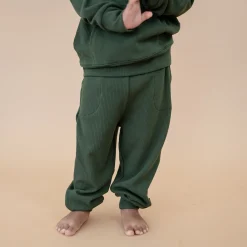 Ribbed Jogger Pant in Fir