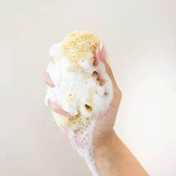 Sea Sponge