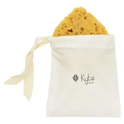 Sea Sponge