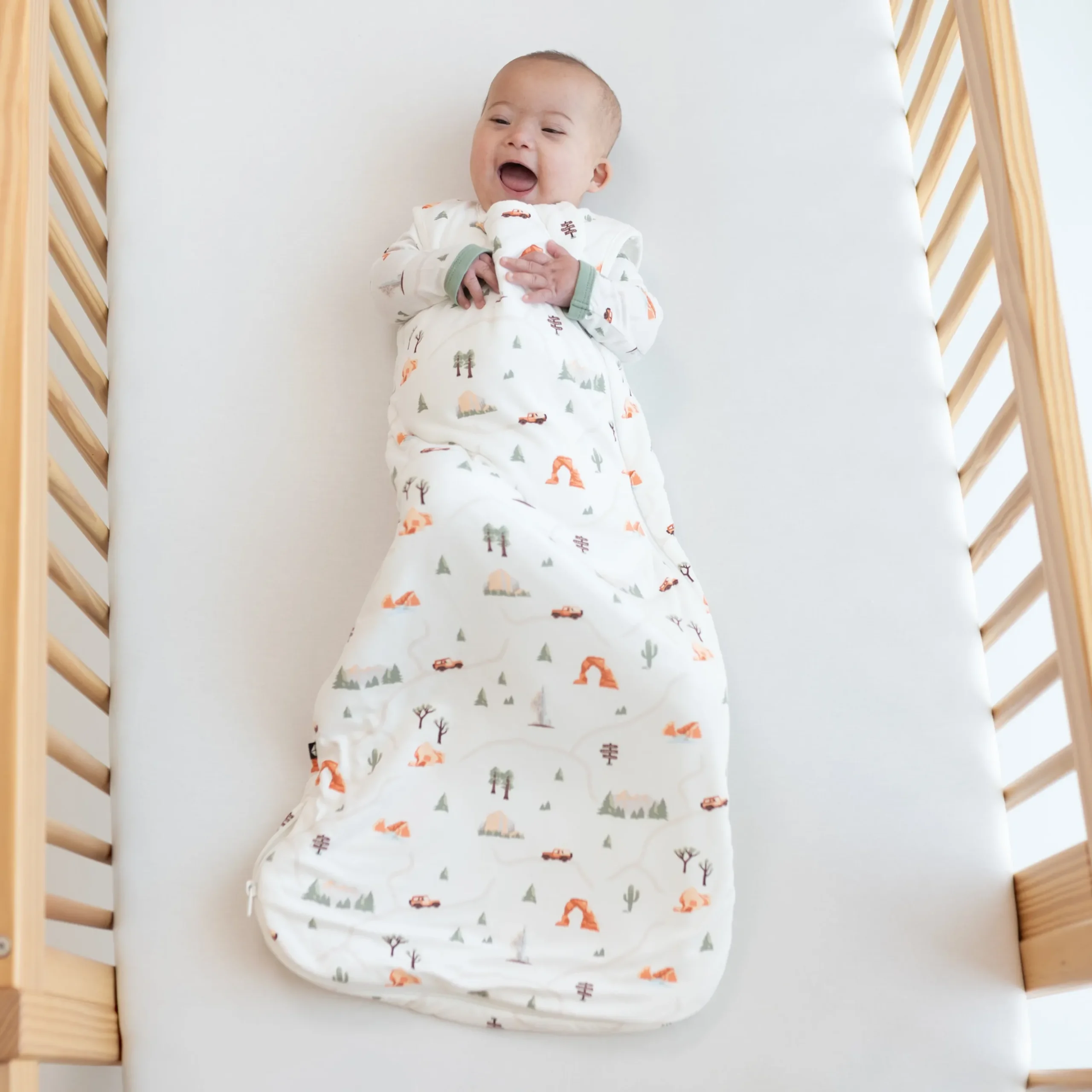 Sleep Bag in Road Trip 1.0