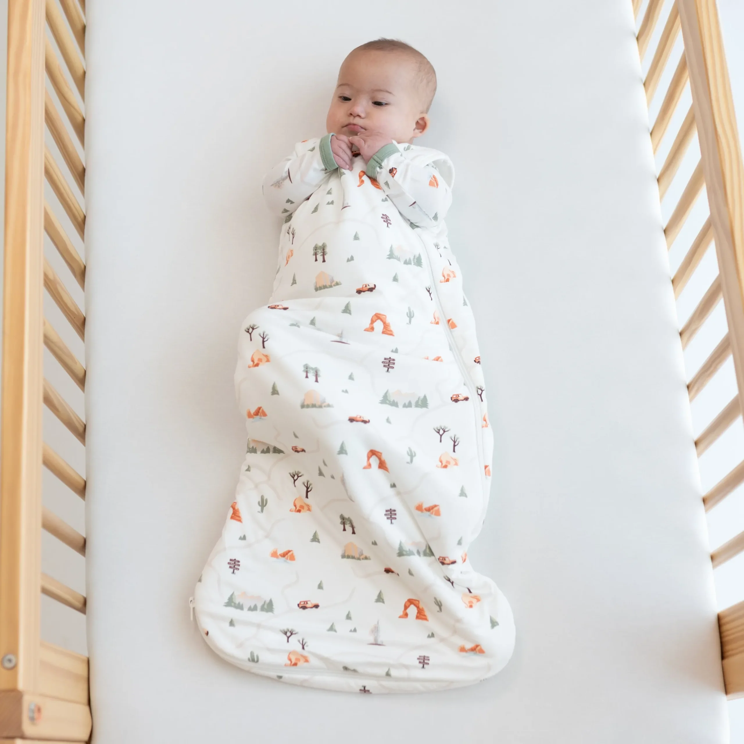 Sleep Bag in Road Trip 1.0