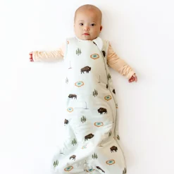 Sleep Bag in Yellowstone 1.0