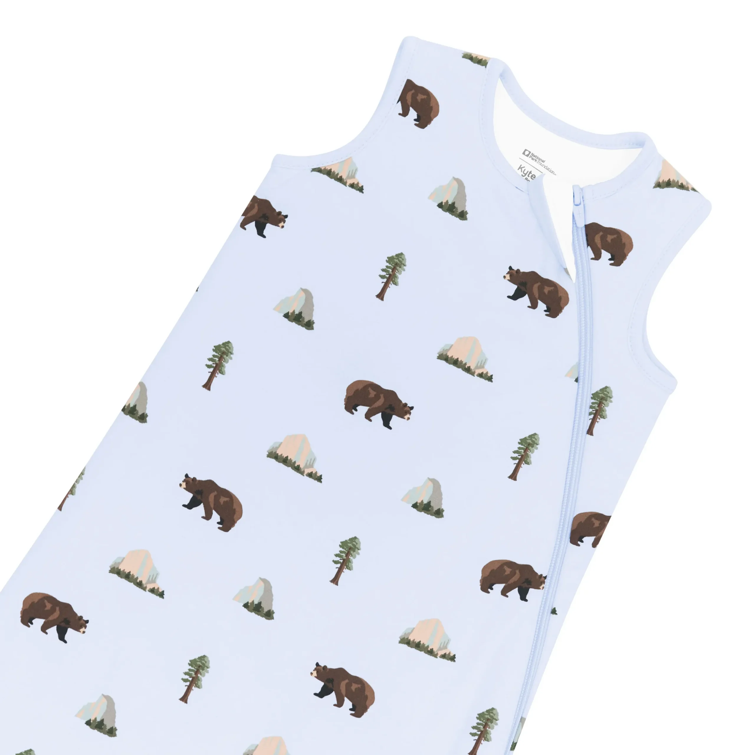 Sleep Bag in Yosemite 1.0