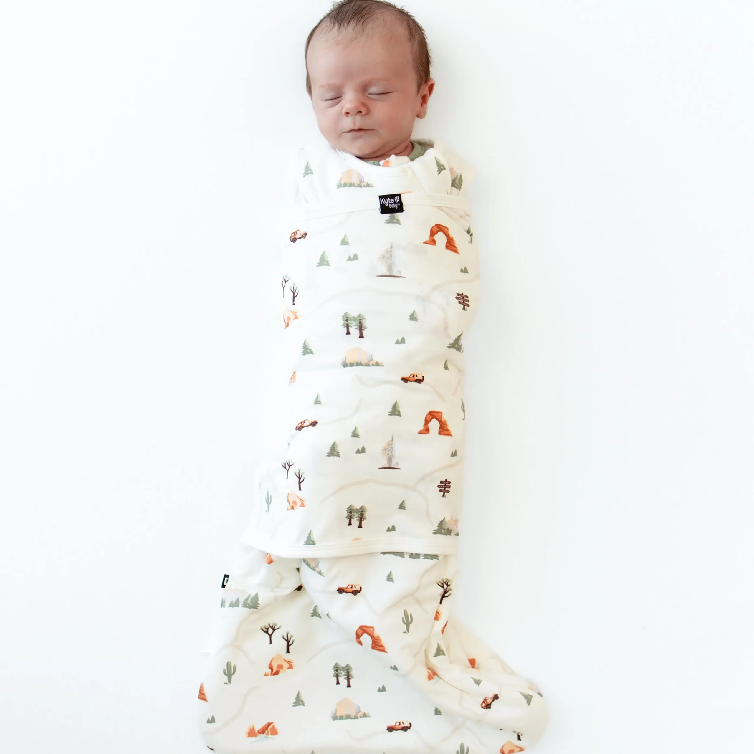 Sleep Bag Swaddler in Road Trip 1.0