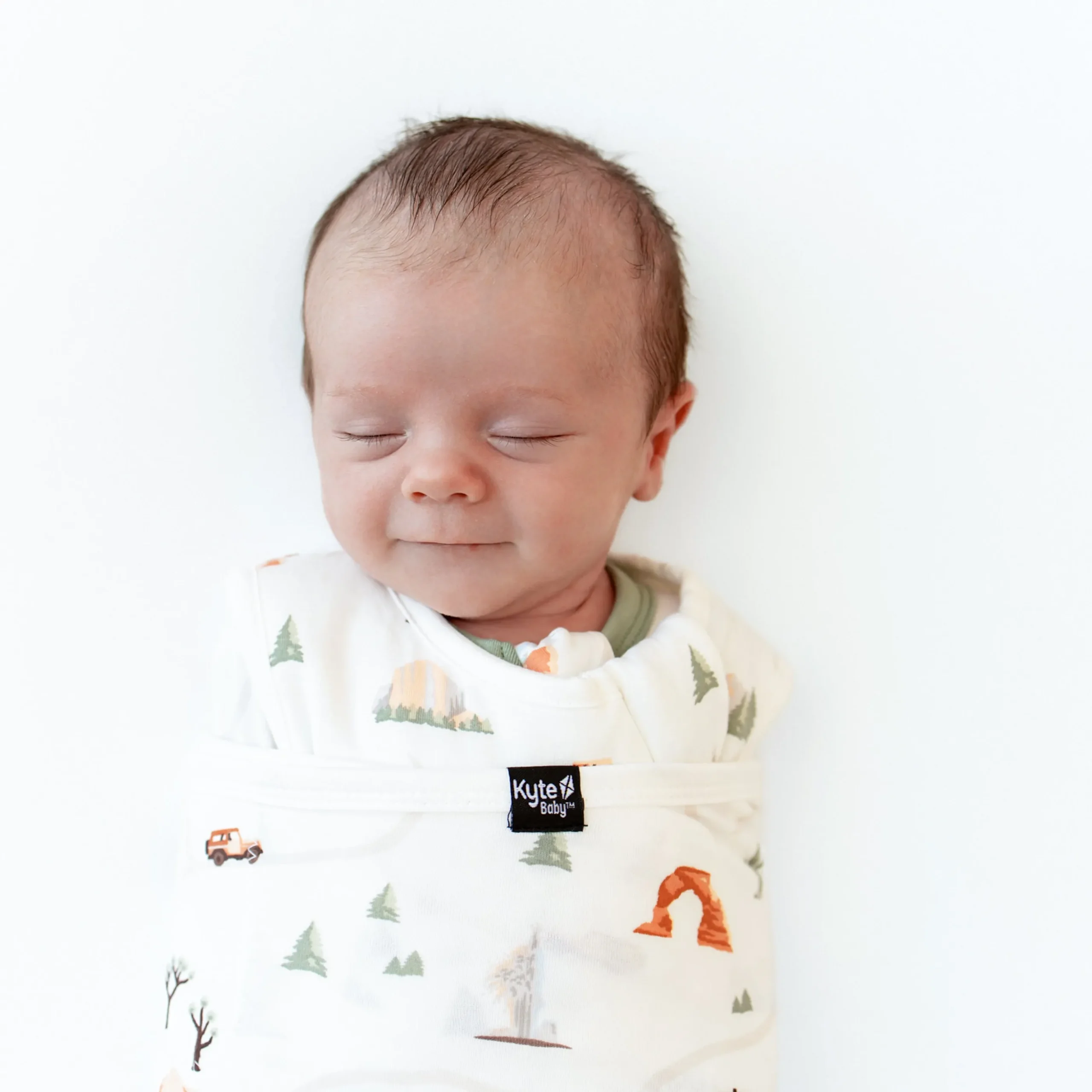 Sleep Bag Swaddler in Road Trip 1.0