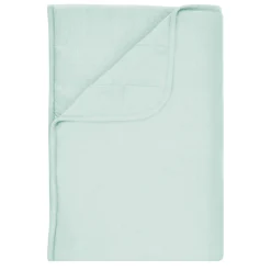 Toddler Blanket in Sage 1.0