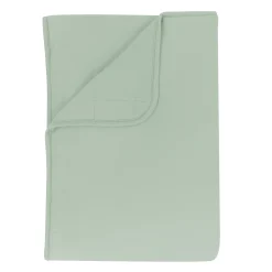 Toddler Blanket in Thyme 2.5