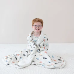 Toddler Blanket in Vintage Truck 1.0