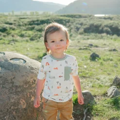 Toddler Crew Neck Tee in Road Trip
