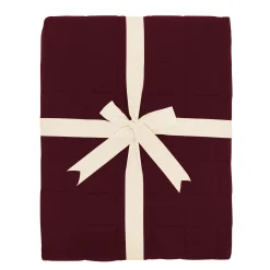 Youth Blanket in Burgundy 2.5