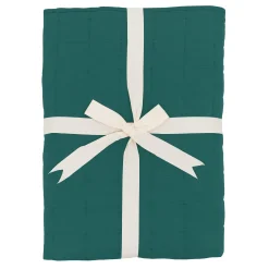 Youth Blanket in Emerald 1.0