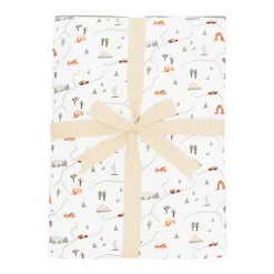 Youth Blanket in Road Trip 2.5