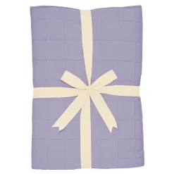 Youth Blanket in Taro 1.0