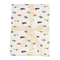 Youth Blanket in Vintage Truck 1.0