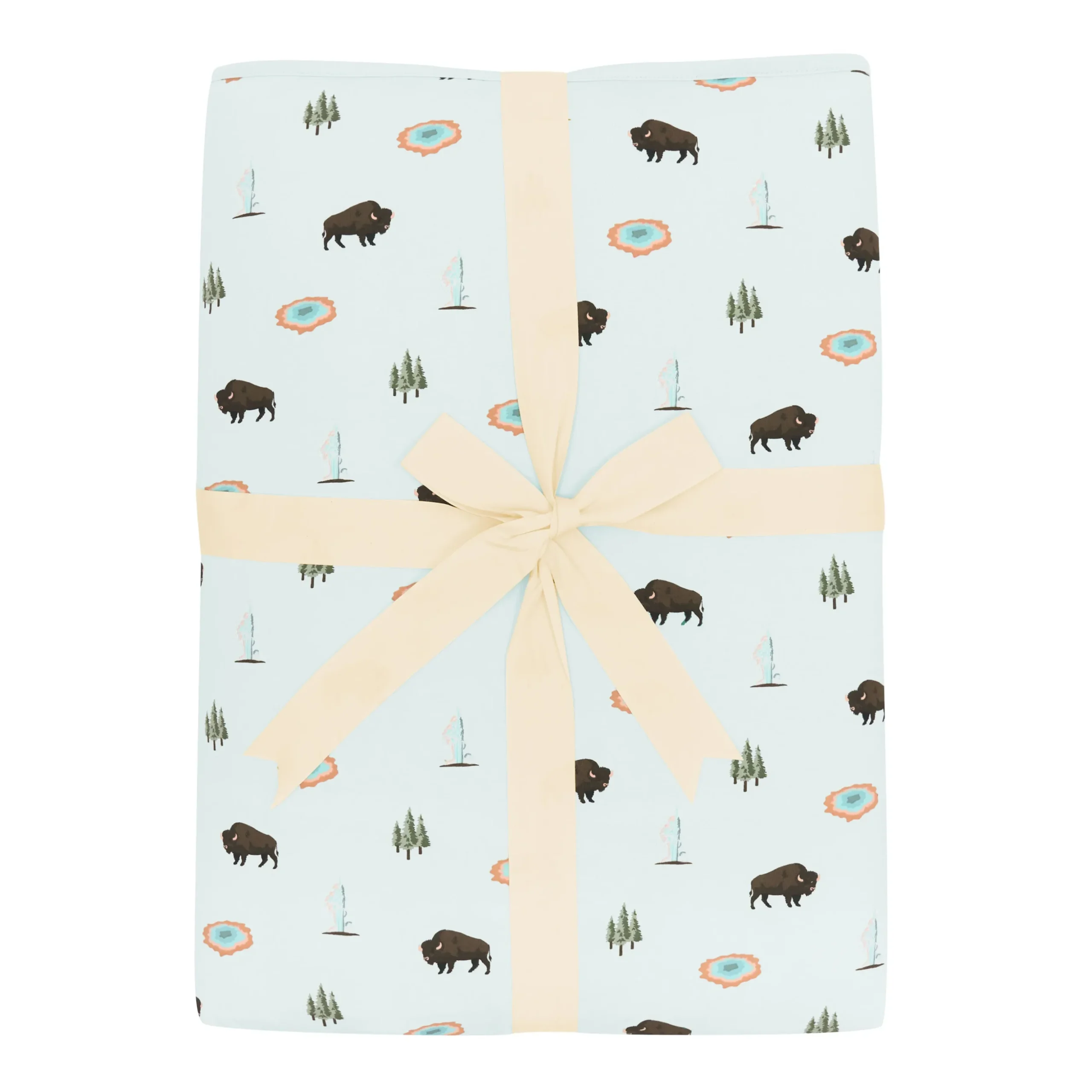 Youth Blanket in Yellowstone 2.5